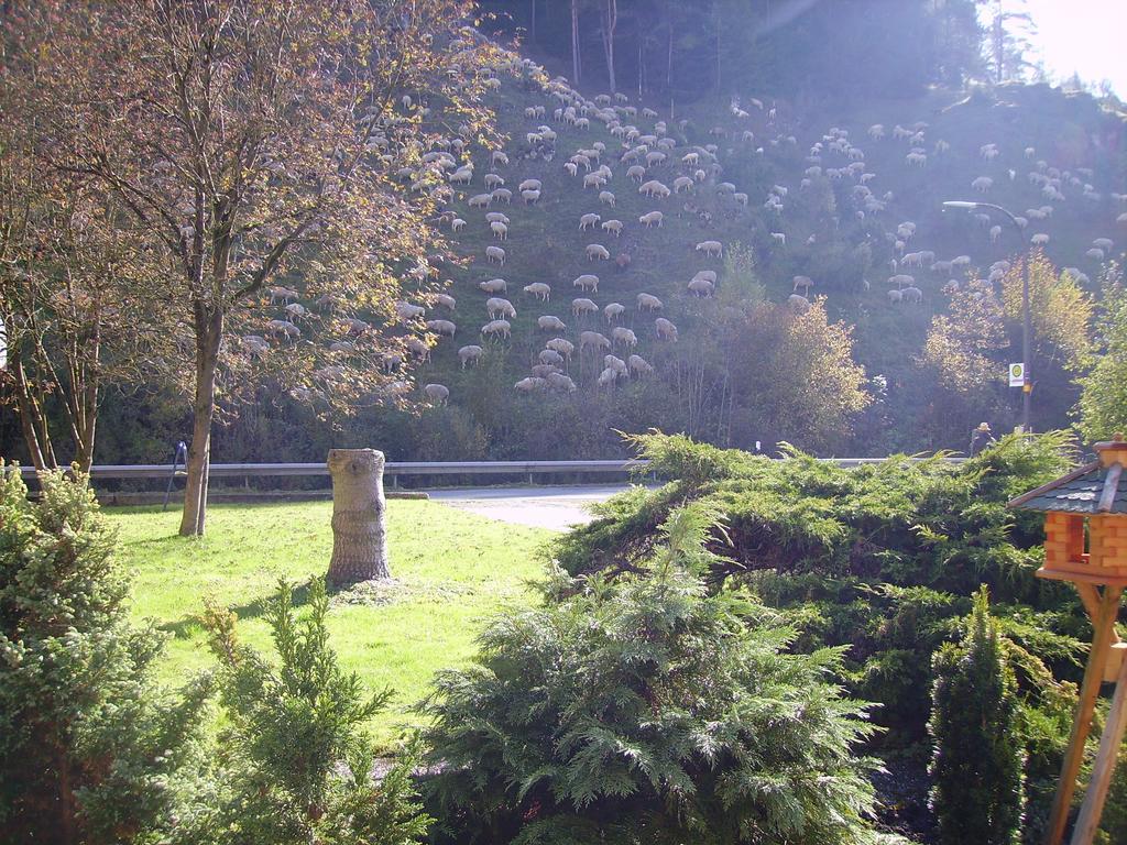Schatz'N Hof Pottenstein Buitenkant foto